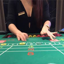 phtaya ph platform overview showing sportsbook casino and slots for Philippines members